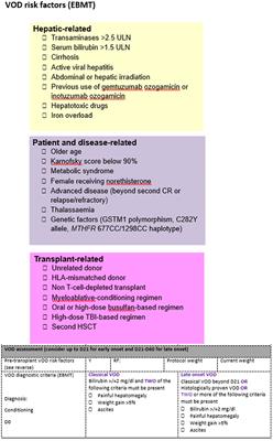 Systematic screening and focused evaluation for veno-occlusive disease/sinusoidal obstructive syndrome (VOD/SOS) following allogeneic stem cell transplant is associated with earlier diagnosis and prompt institution of defibrotide treatment